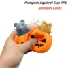 H-Squirrel 1PC